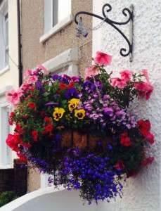 Spring flowers